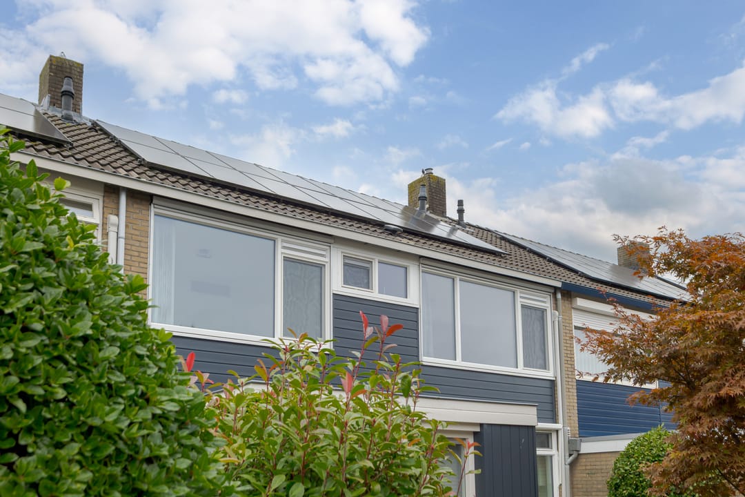 Photo 7 of de Mate 38