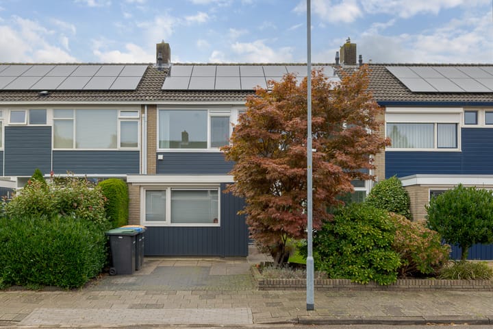 Foto 8 van de Mate 38