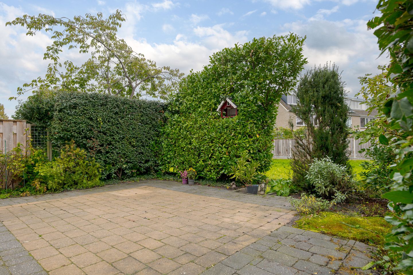 Photo 20 of de Mate 38