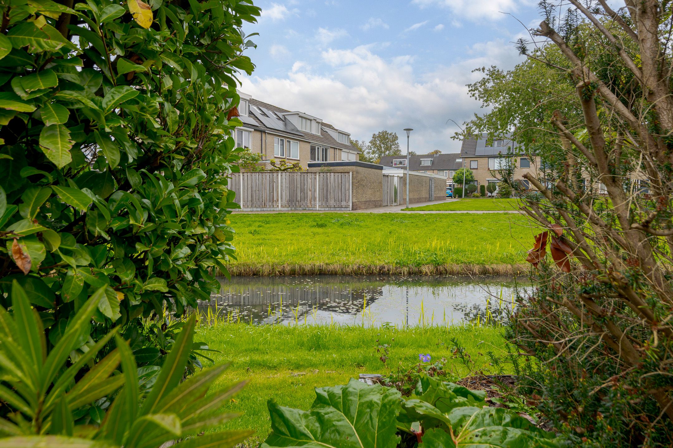 Photo 21 of de Mate 38