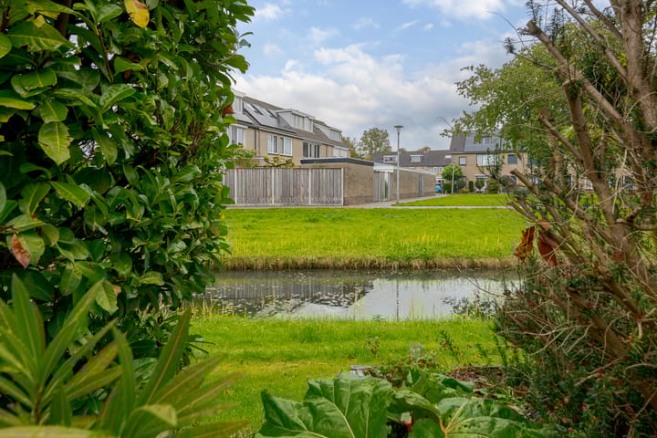 Foto 21 van de Mate 38