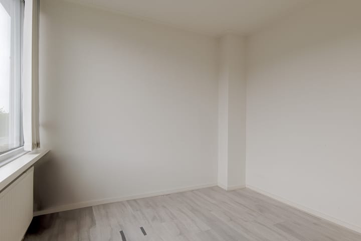 Foto 49 van de Mate 38