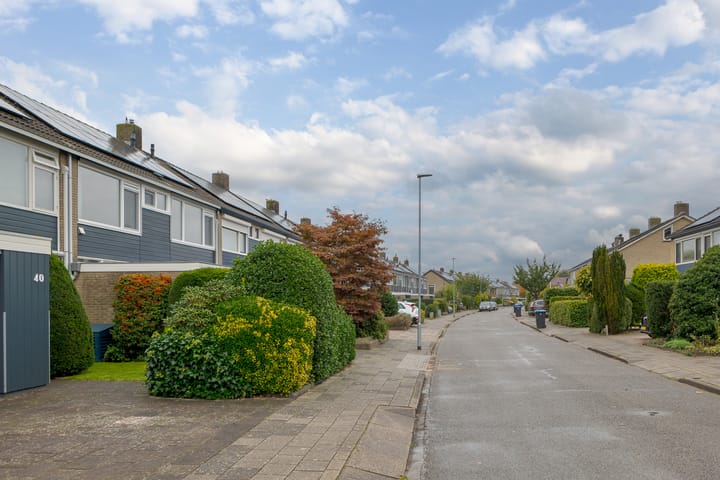 Foto 56 van de Mate 38