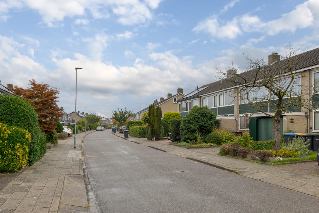 Photo 58 of de Mate 38