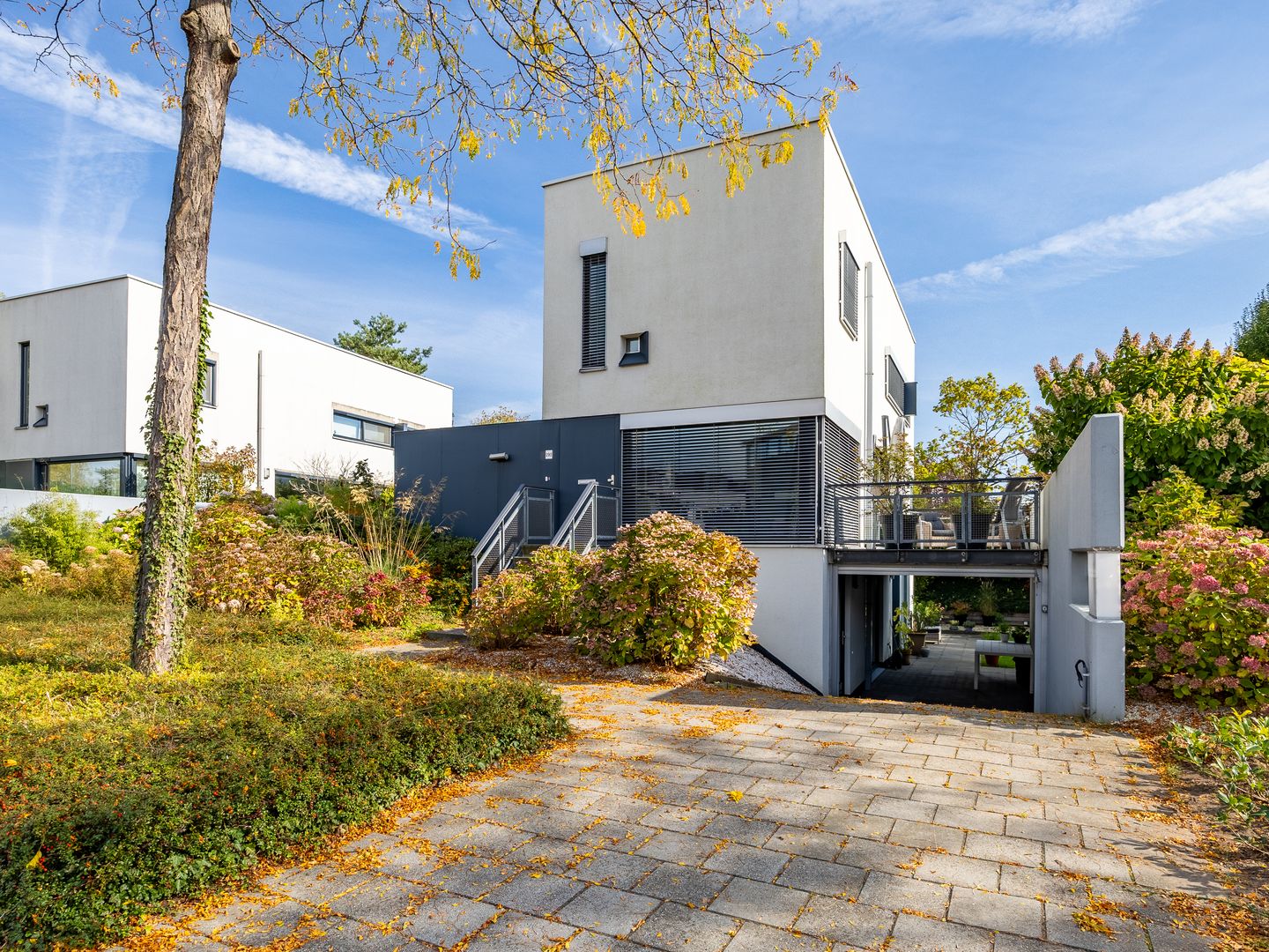 Foto 1 van Ien Dalessingel 293