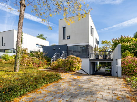 Ien Dalessingel thumbnail