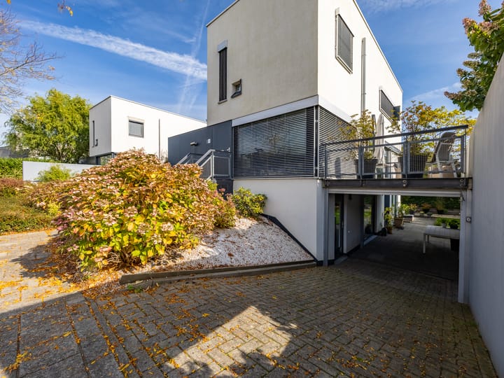 Foto 2 van Ien Dalessingel 293