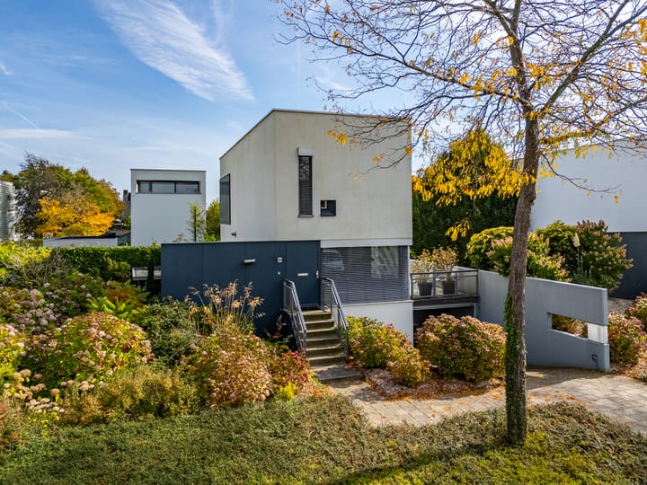 Foto 3 van Ien Dalessingel 293