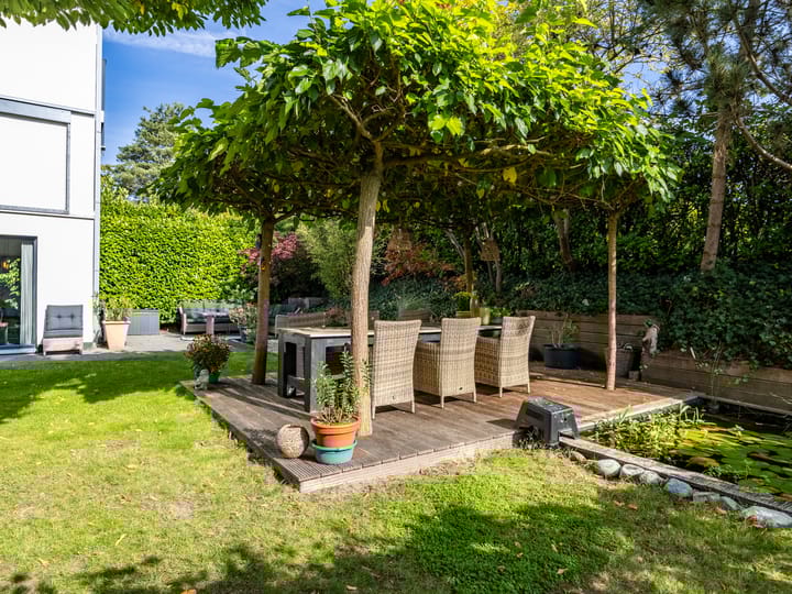 Foto 30 van Ien Dalessingel 293