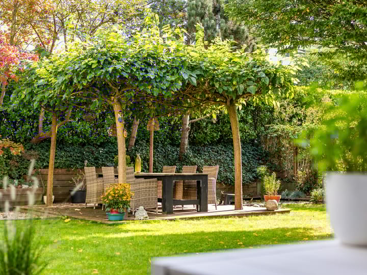 Foto 31 van Ien Dalessingel 293