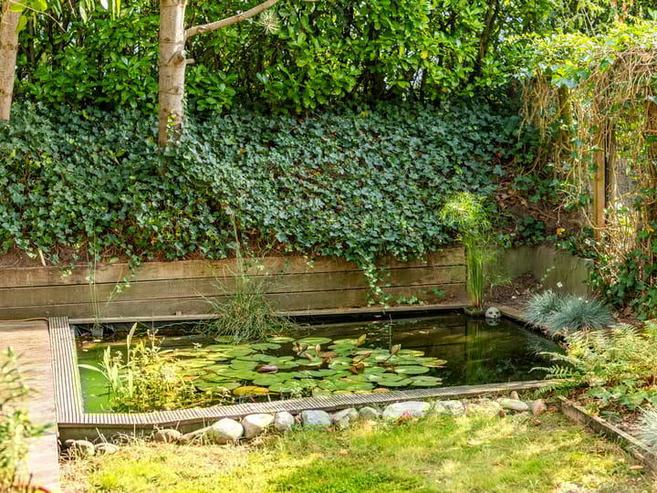 Foto 32 van Ien Dalessingel 293