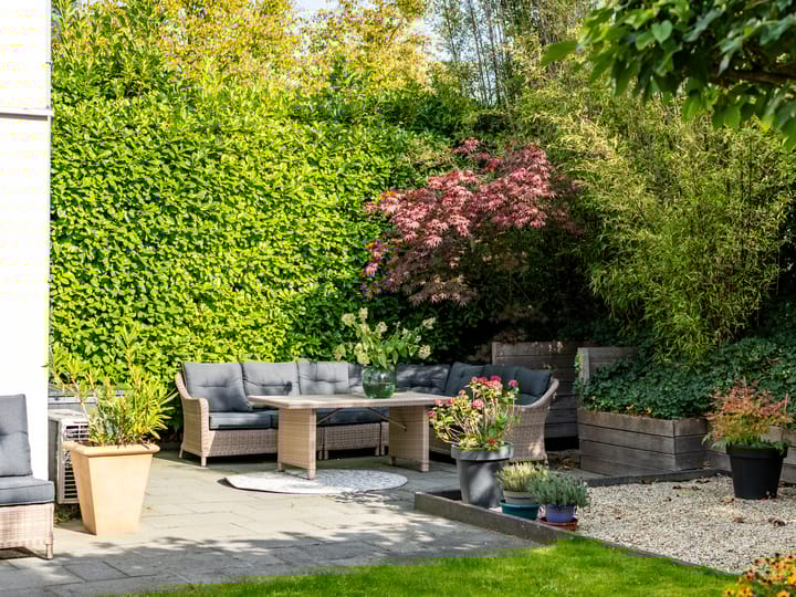 Foto 34 van Ien Dalessingel 293