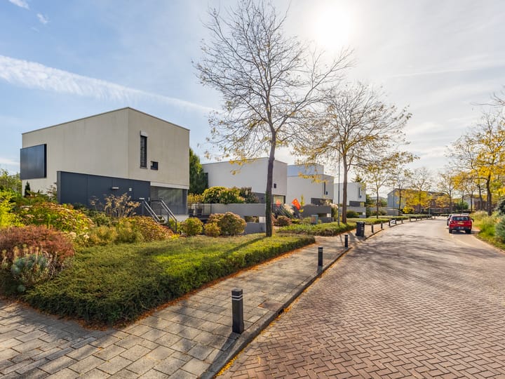 Foto 42 van Ien Dalessingel 293