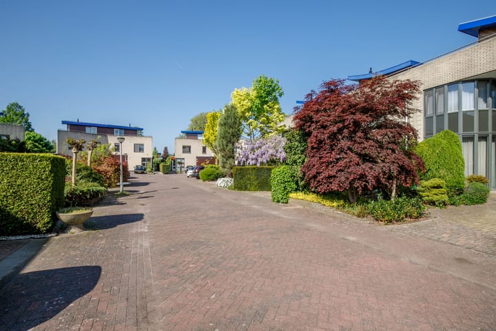 Photo 39 of Paradijsselpark 229