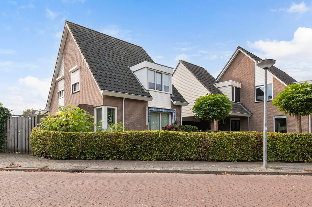 Foto 1 van Vroegeling 1