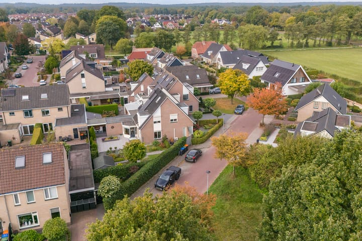 Foto 3 van Vroegeling 1