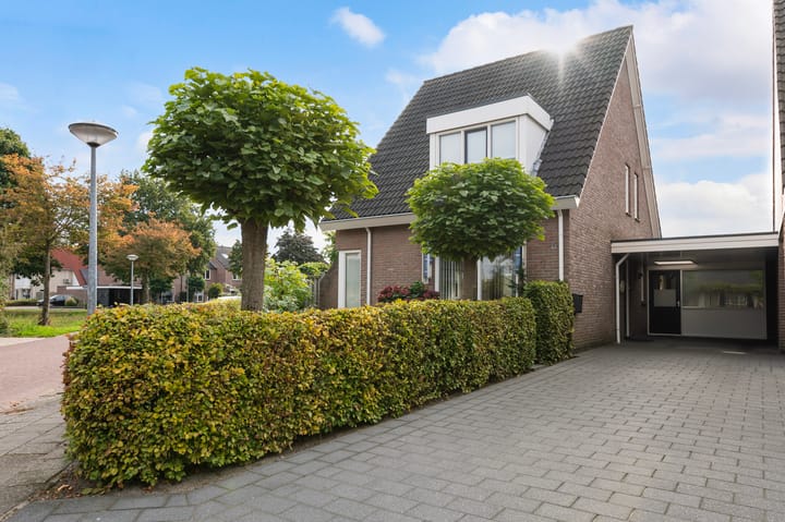 Foto 5 van Vroegeling 1