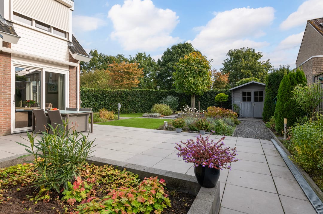 Foto 38 van Vroegeling 1