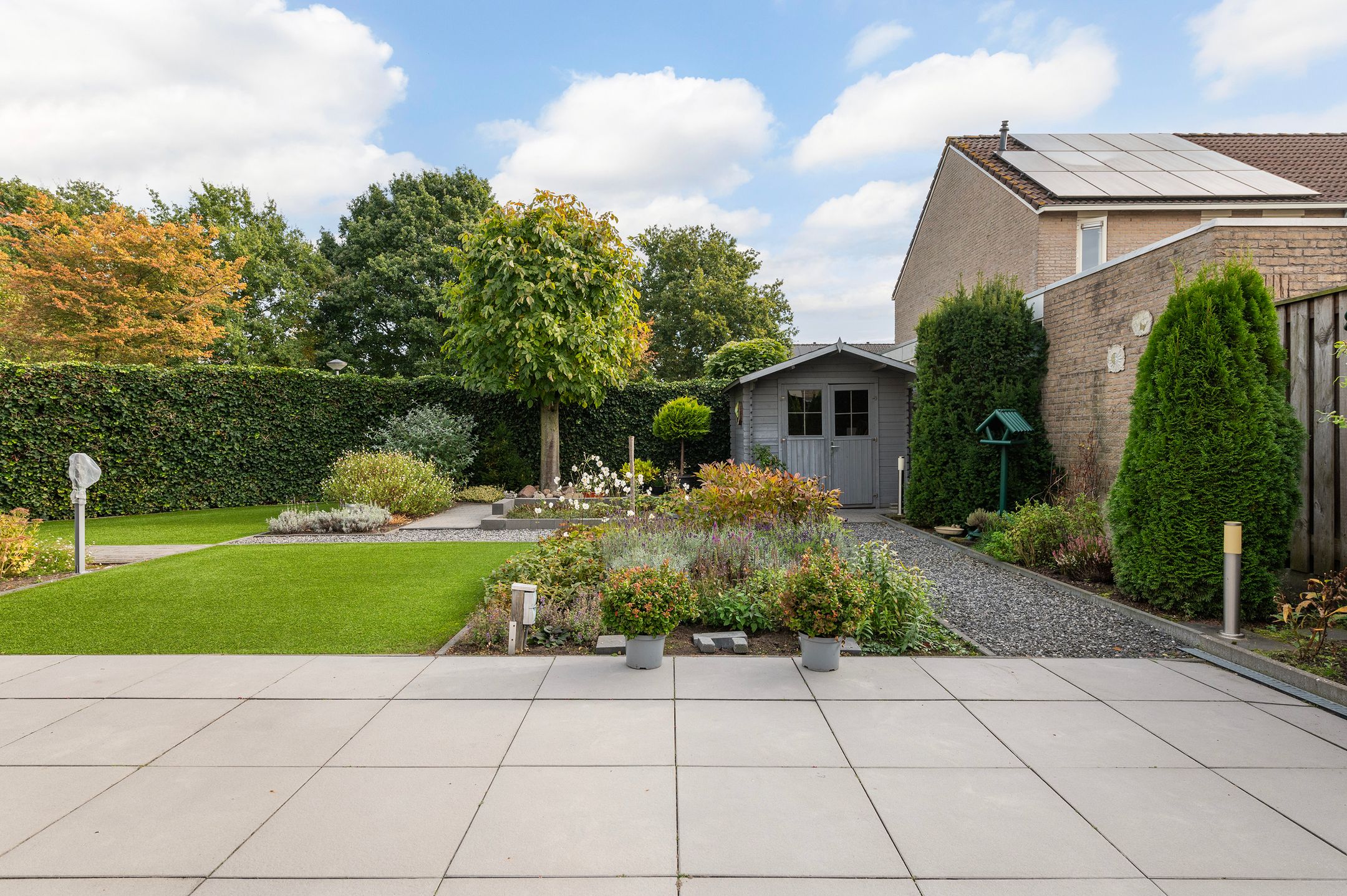 Foto 39 van Vroegeling 1