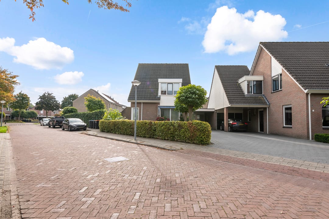 Foto 41 van Vroegeling 1