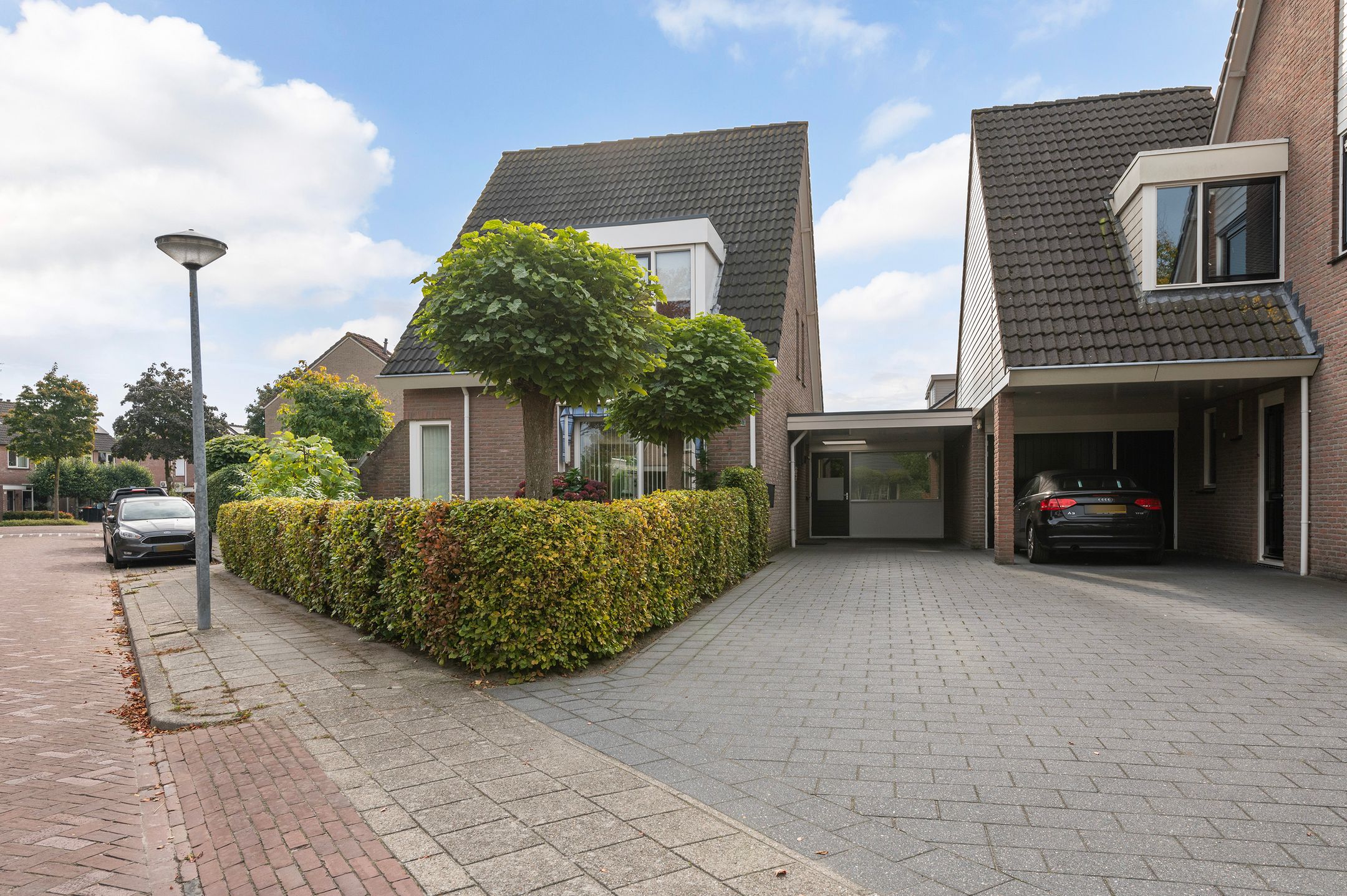 Foto 42 van Vroegeling 1