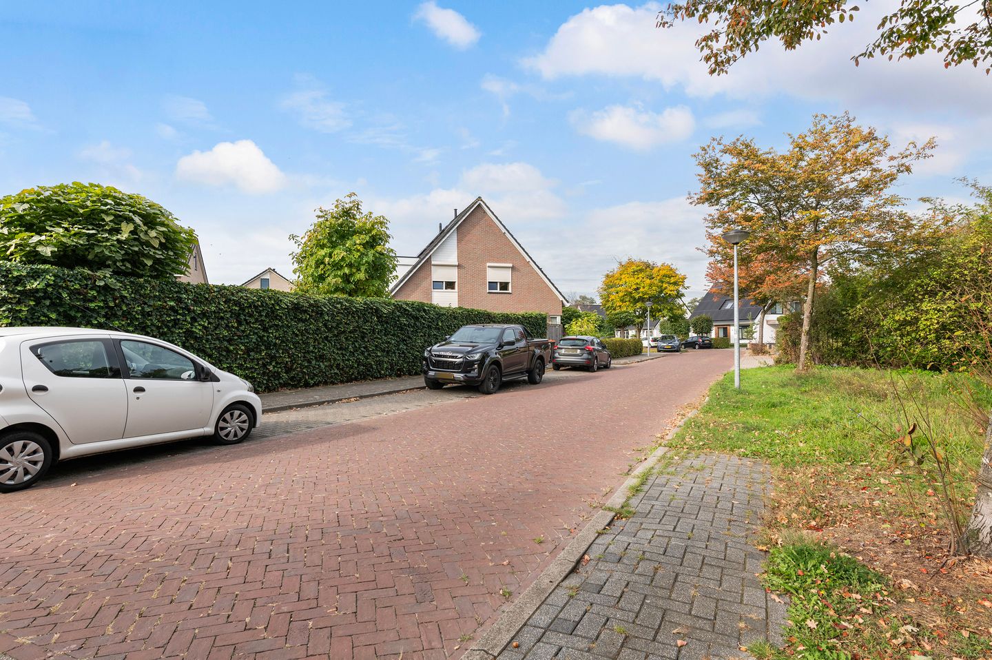 Foto 44 van Vroegeling 1