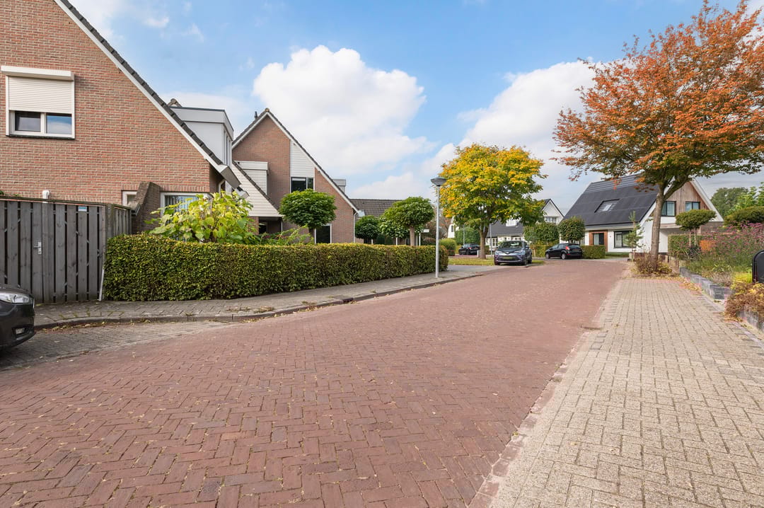 Foto 43 van Vroegeling 1