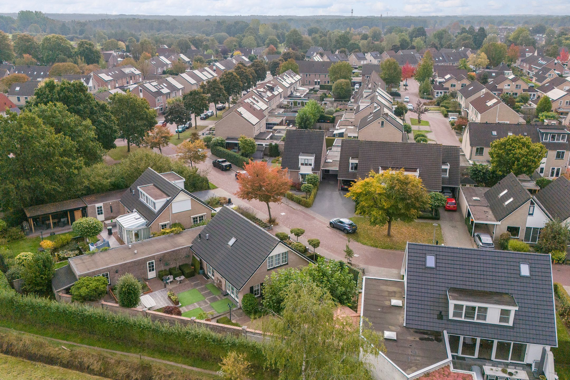 Foto 45 van Vroegeling 1