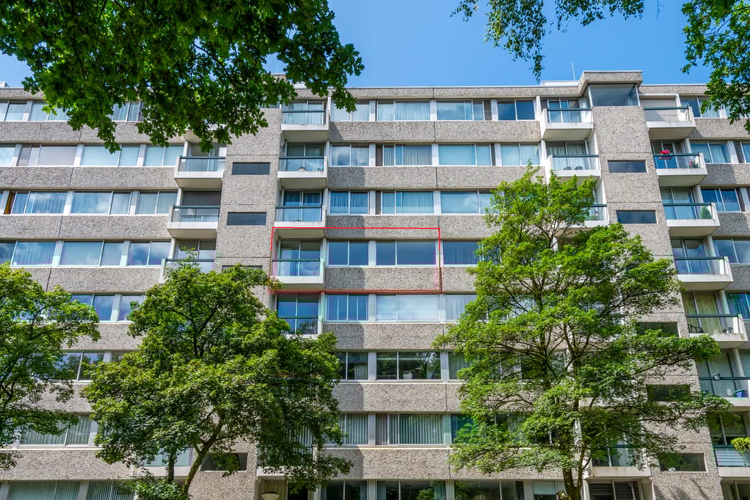 Photo 2 of De Zalmen 97