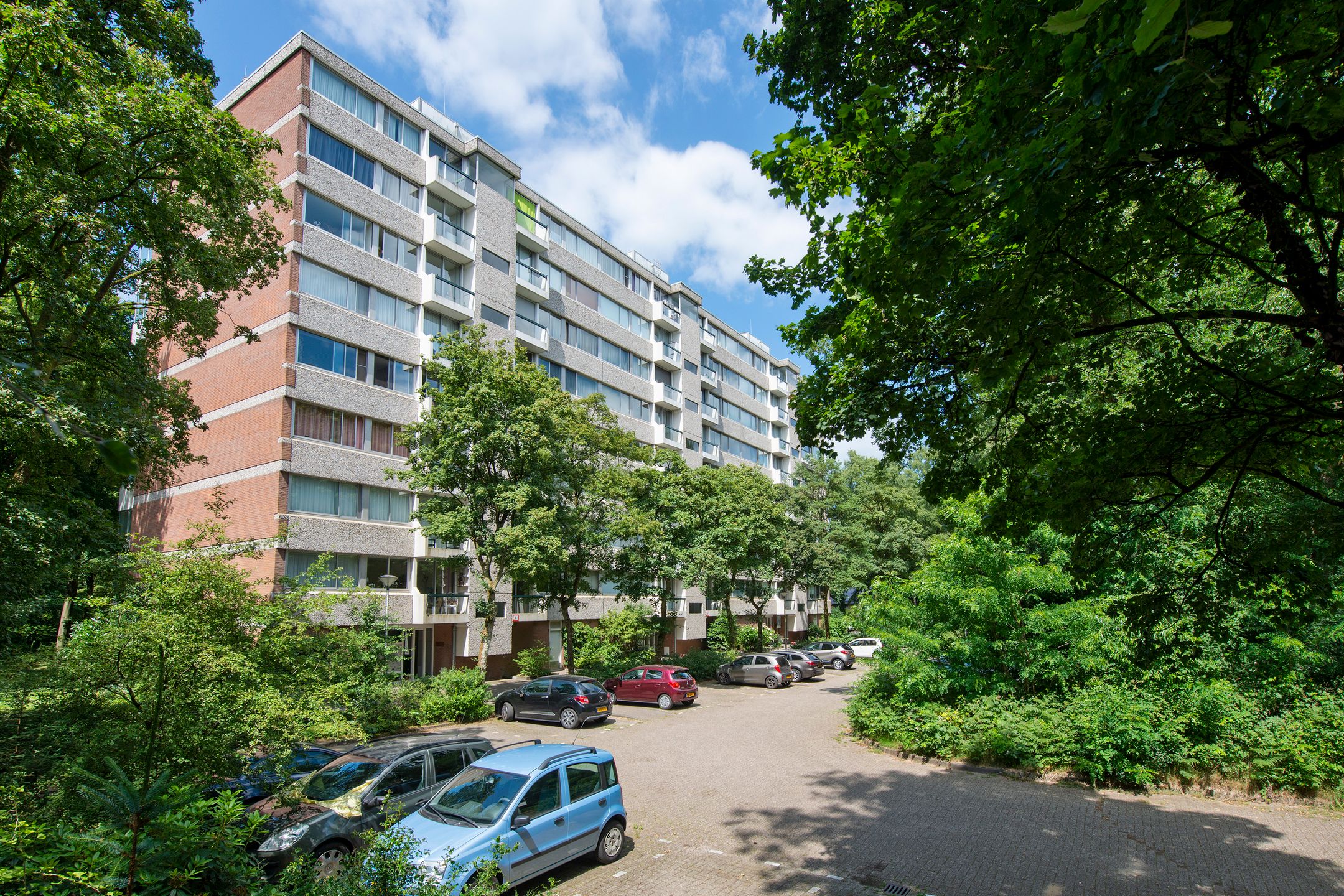 Photo 3 of De Zalmen 97