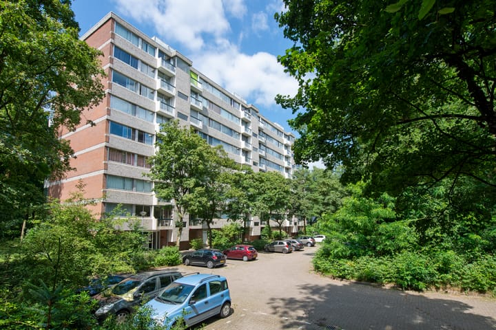 Foto 3 van De Zalmen 97