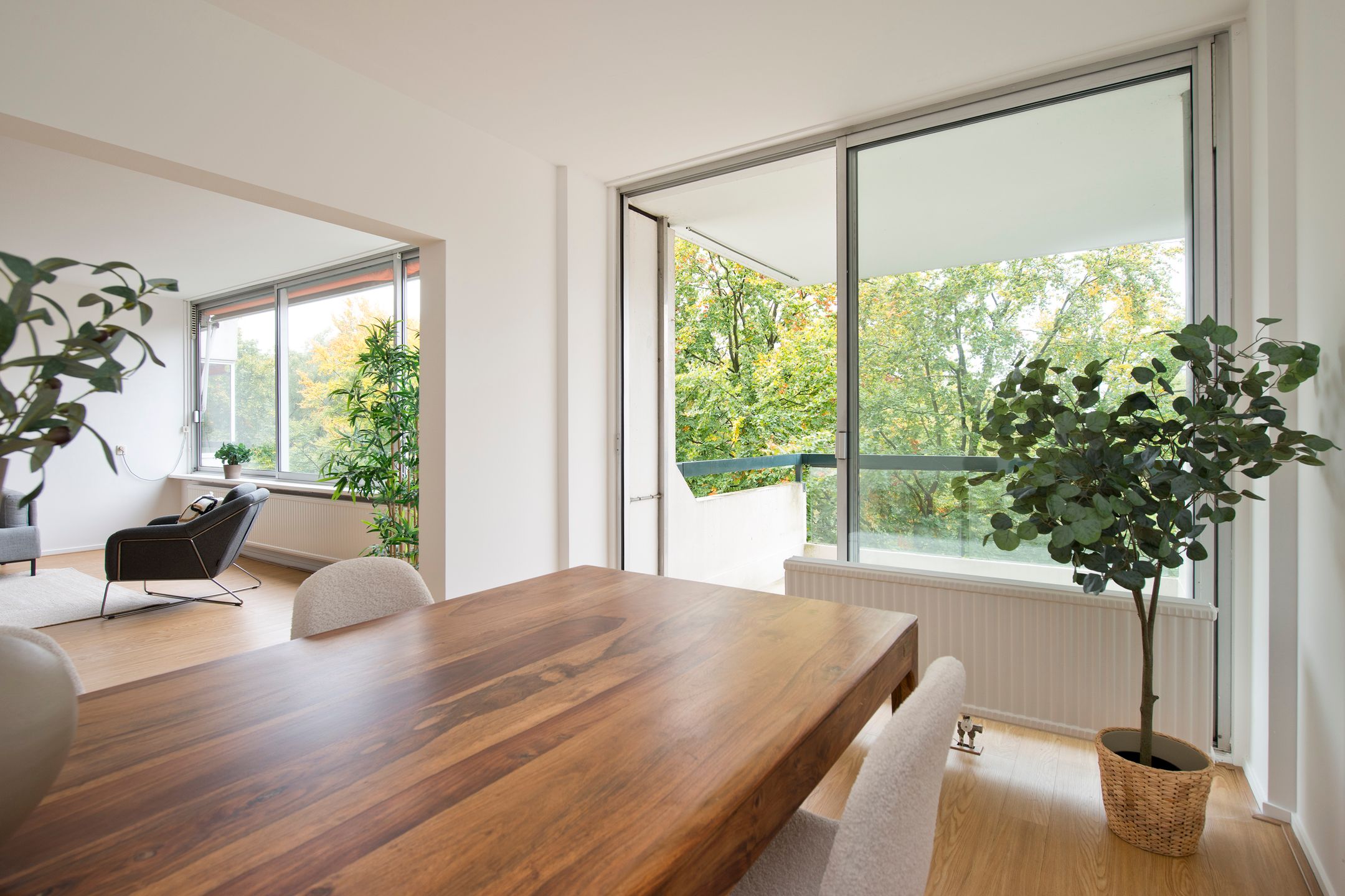 Photo 24 of De Zalmen 97