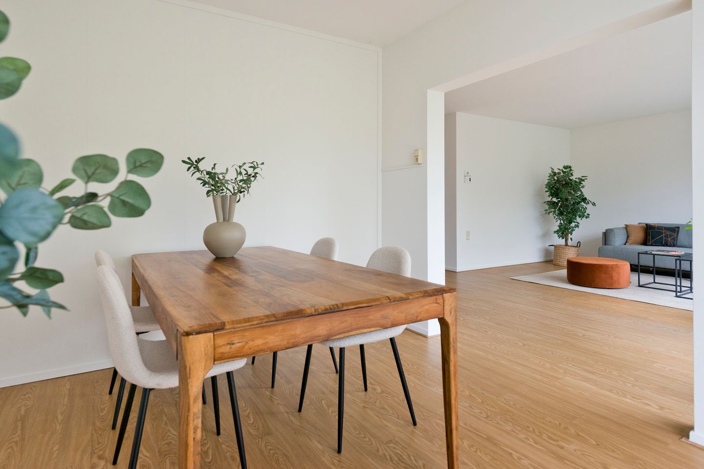 Photo 25 of De Zalmen 97