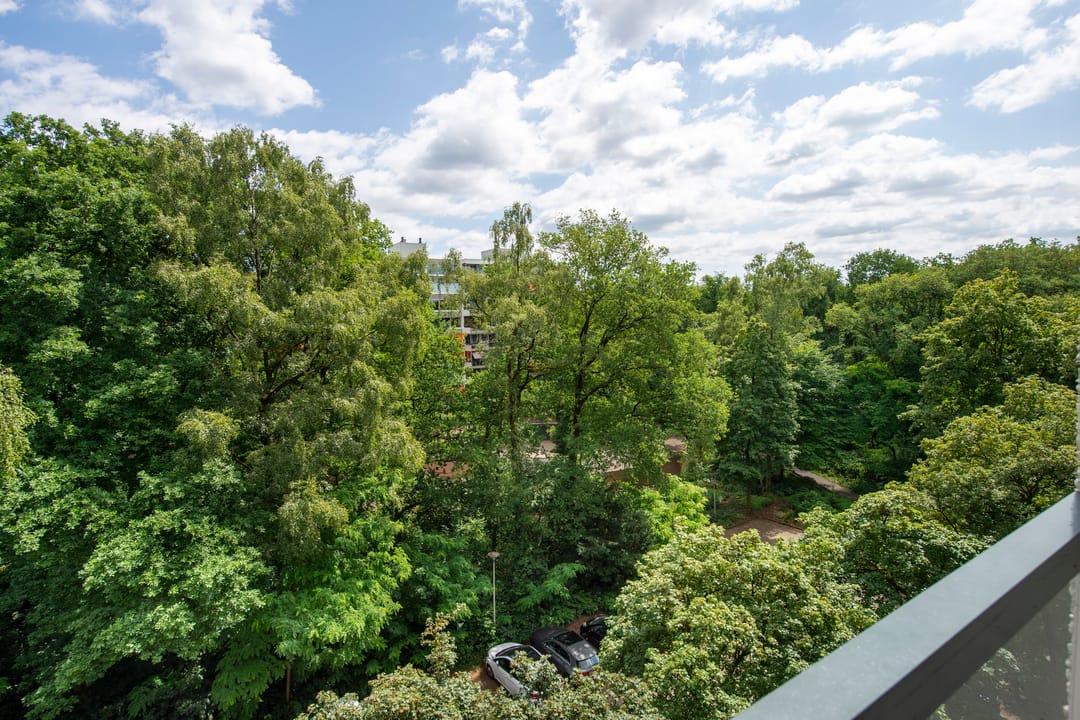 Photo 46 of De Zalmen 97