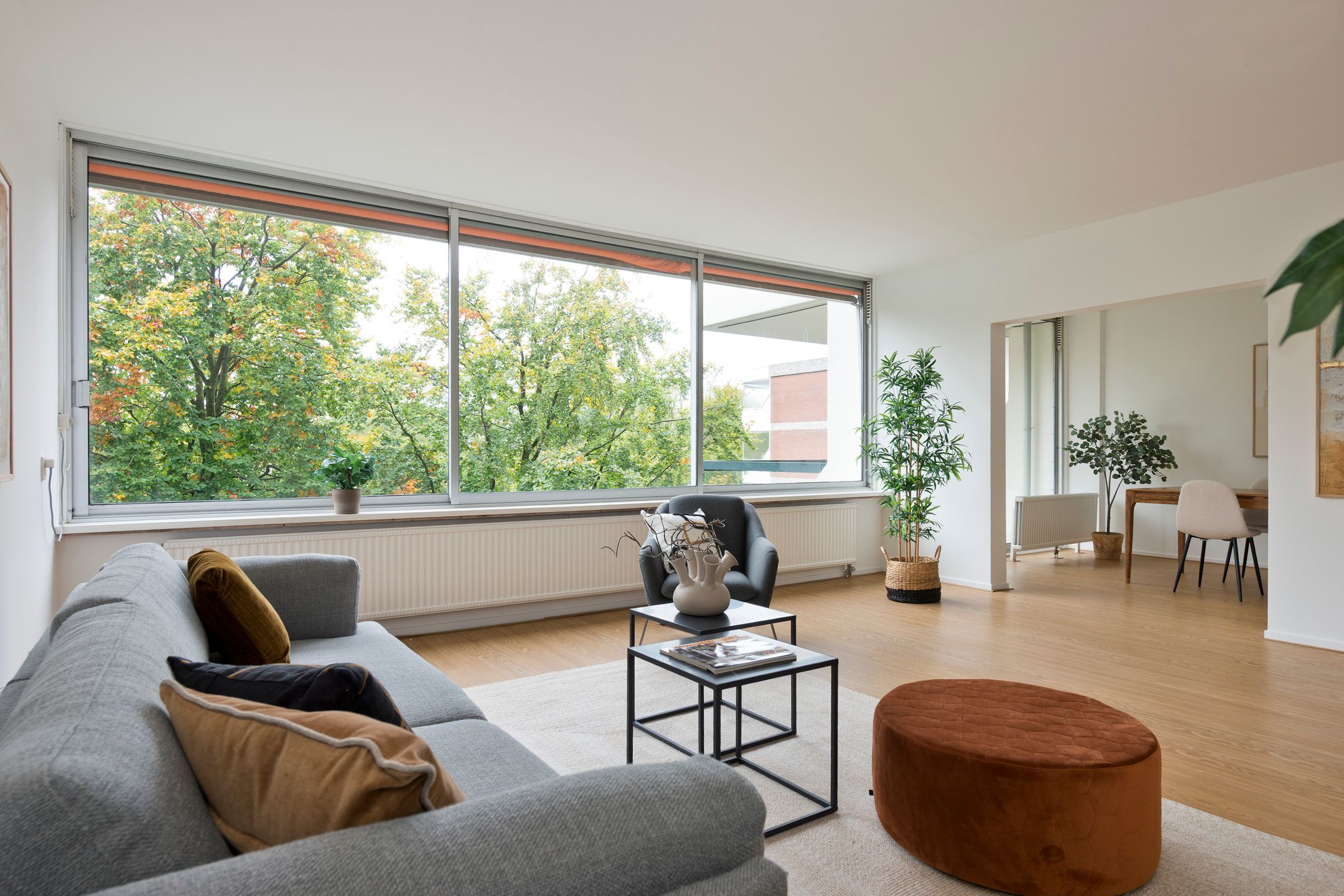 Photo 15 of De Zalmen 97