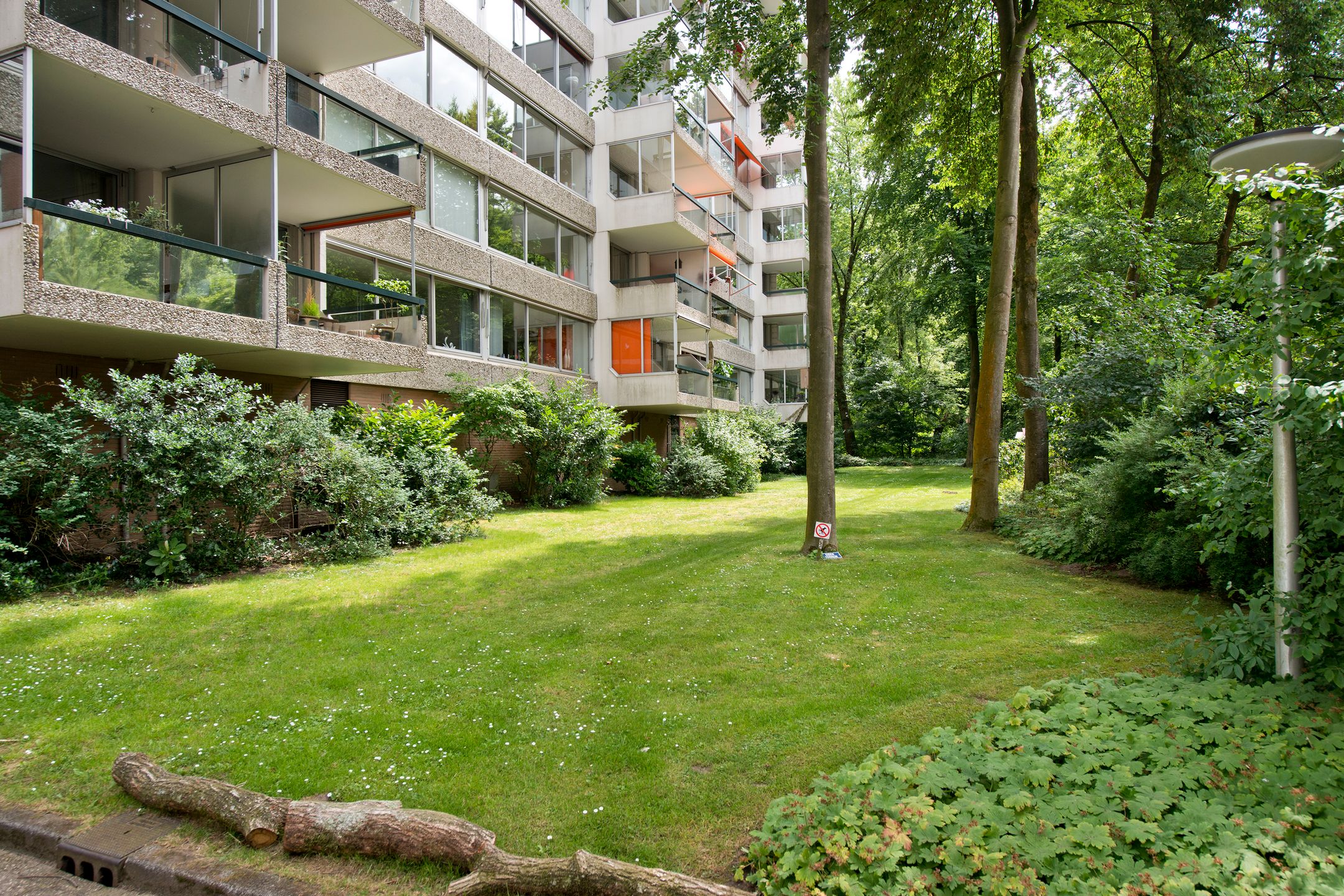 Photo 51 of De Zalmen 97