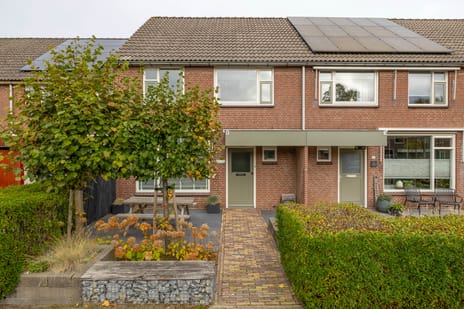 undefined main image