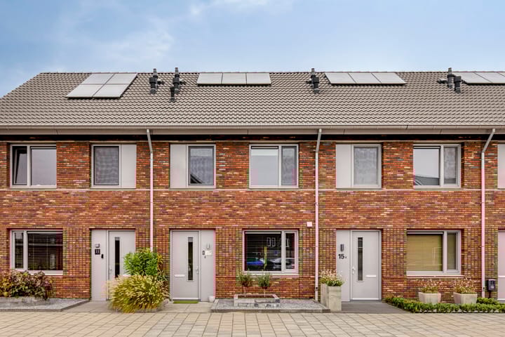 Akkernoot 13 main image