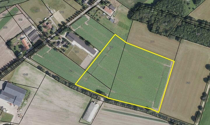 Houtweg, Stramproy