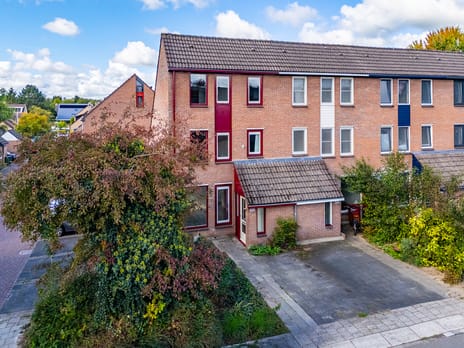 undefined main image