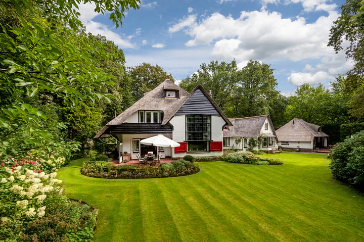 Logosberg 5 main image