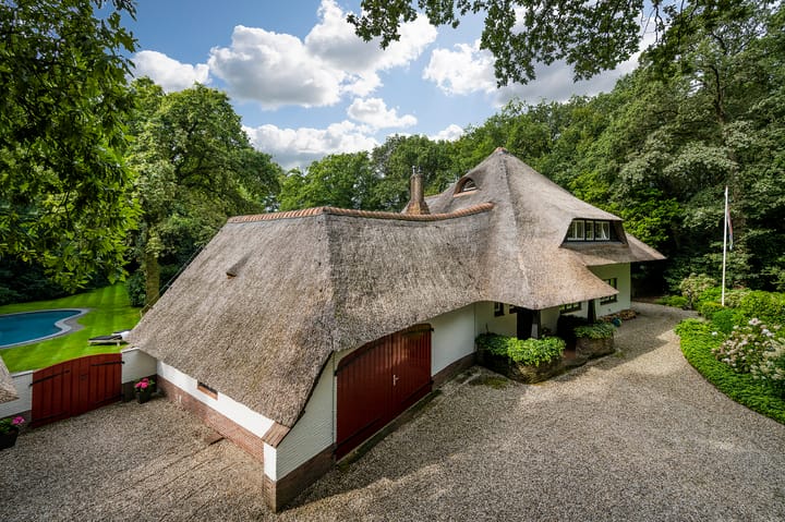 Photo 6 of Logosberg 5