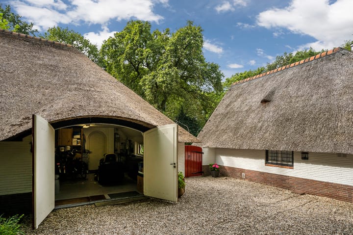 Photo 7 of Logosberg 5