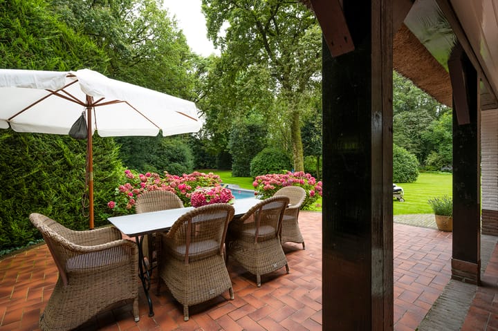 Photo 27 of Logosberg 5