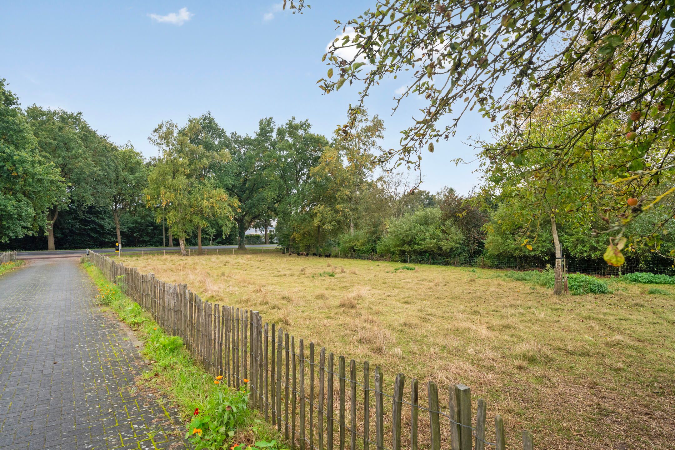 Foto 9 van Elburgerweg 43