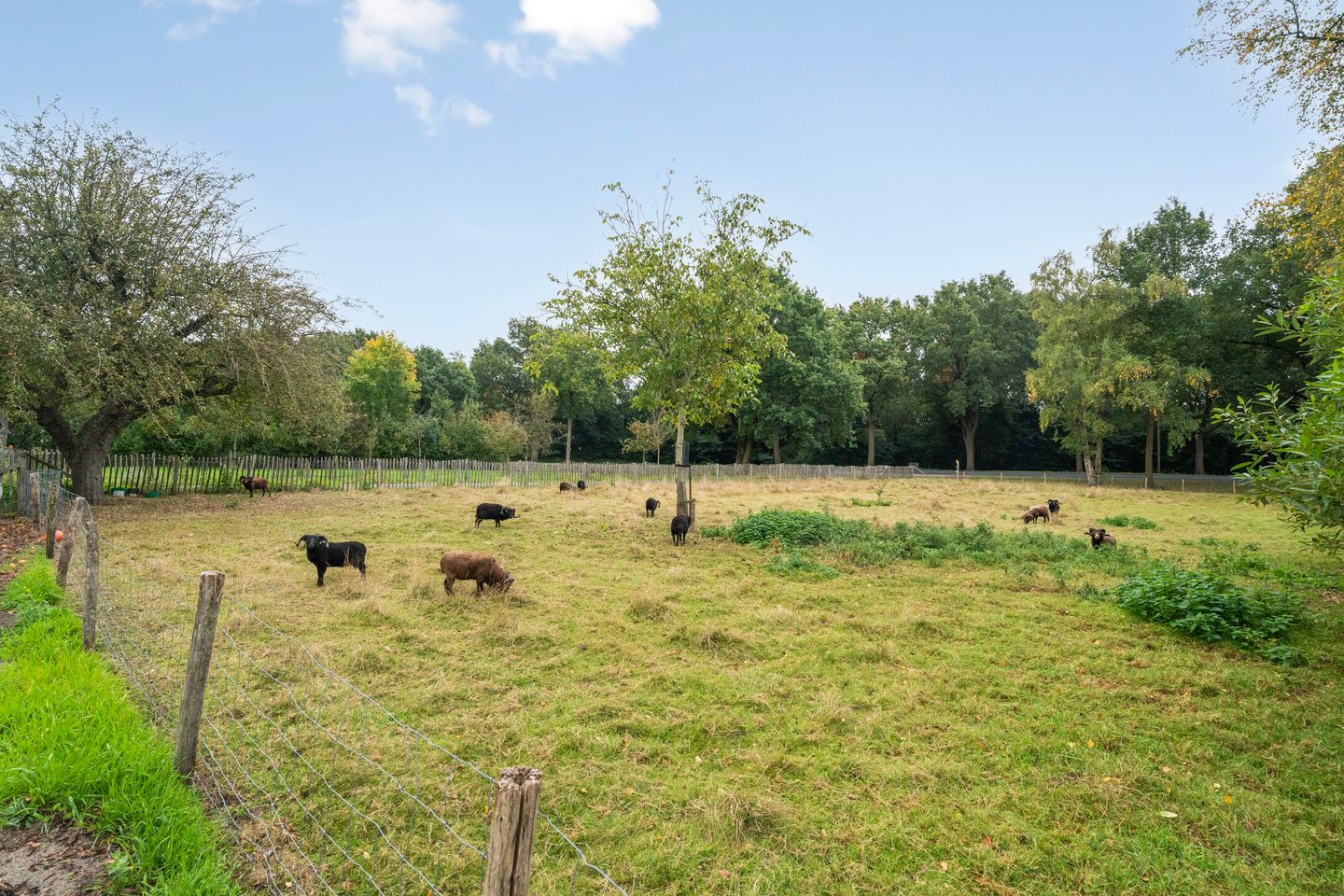 Foto 64 van Elburgerweg 43