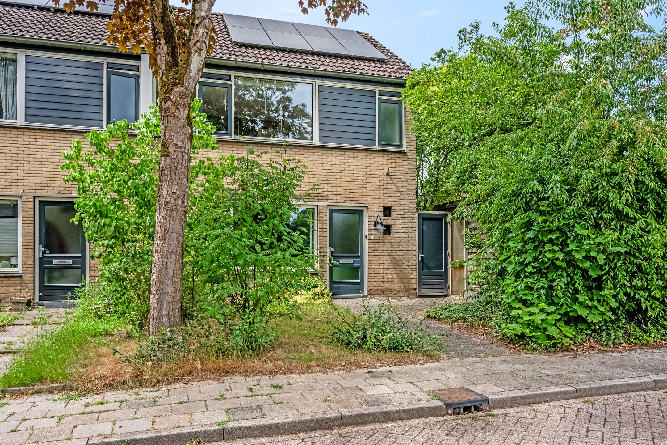 Foto 3 van de Reehorst 45