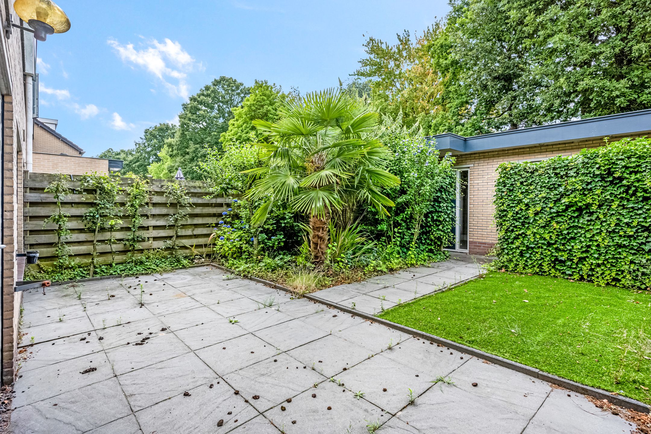 Foto 24 van de Reehorst 45