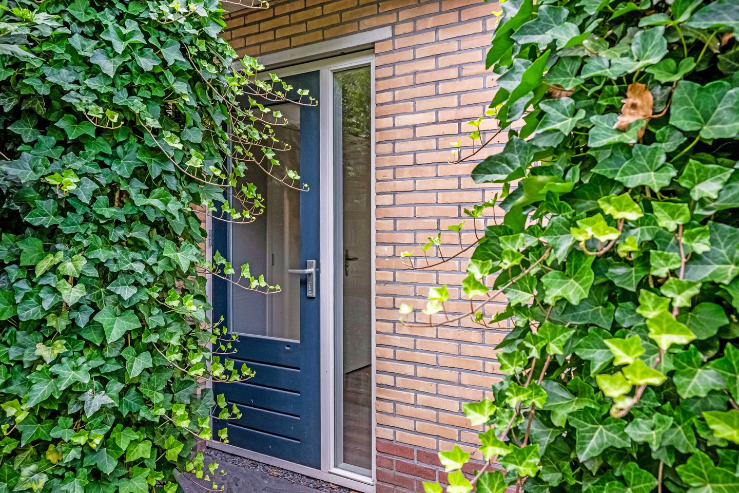 Foto 25 van de Reehorst 45