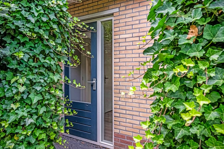 Foto 25 van de Reehorst 45